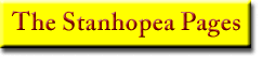 The Stanhopea Pages Banner