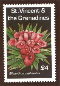Elleanthus cephalotus stamp photo by Ron Smart