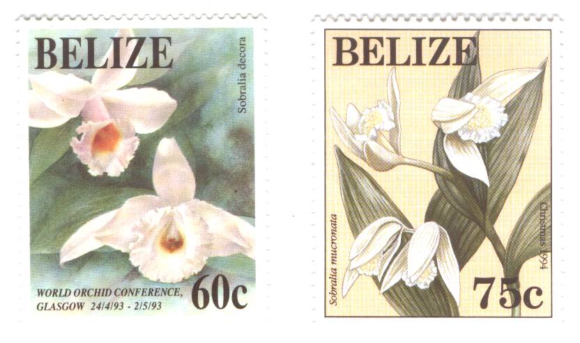 Scan provided by Ron Smart