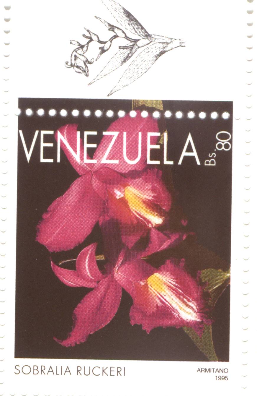 Scan provided by Ron Smart