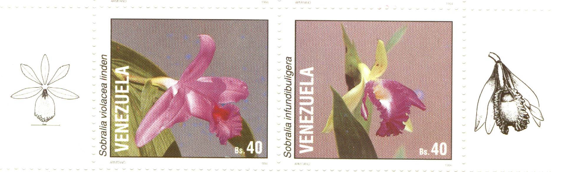 Scan provided by Ron Smart