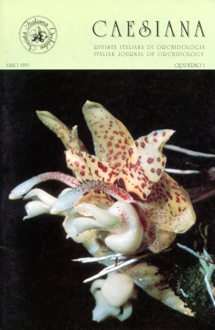 Cover of Caesiana Vol. 1, Stanhopea hernandezii