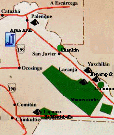 Area of Selva Lacandona