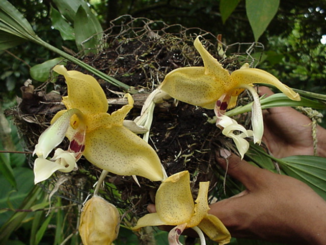 Photo by Weyman Bussey