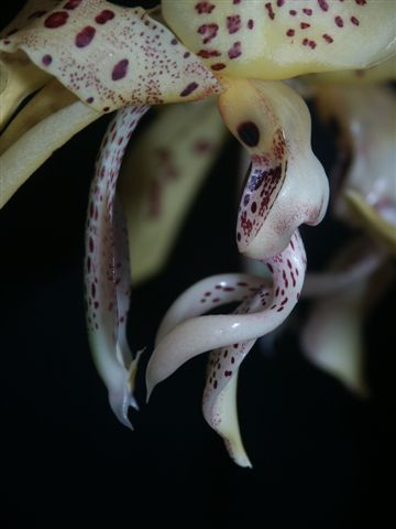 Photo by Kelvin Bush