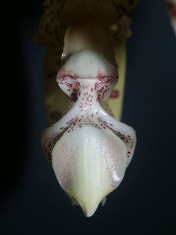 Photo by Kelvin Bush