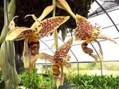 Photo by Bill Berstrom