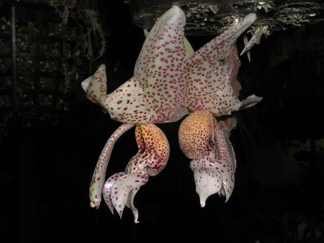 Photo by Kelvin Bush