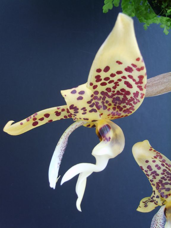 Photo by Kelvin Bush