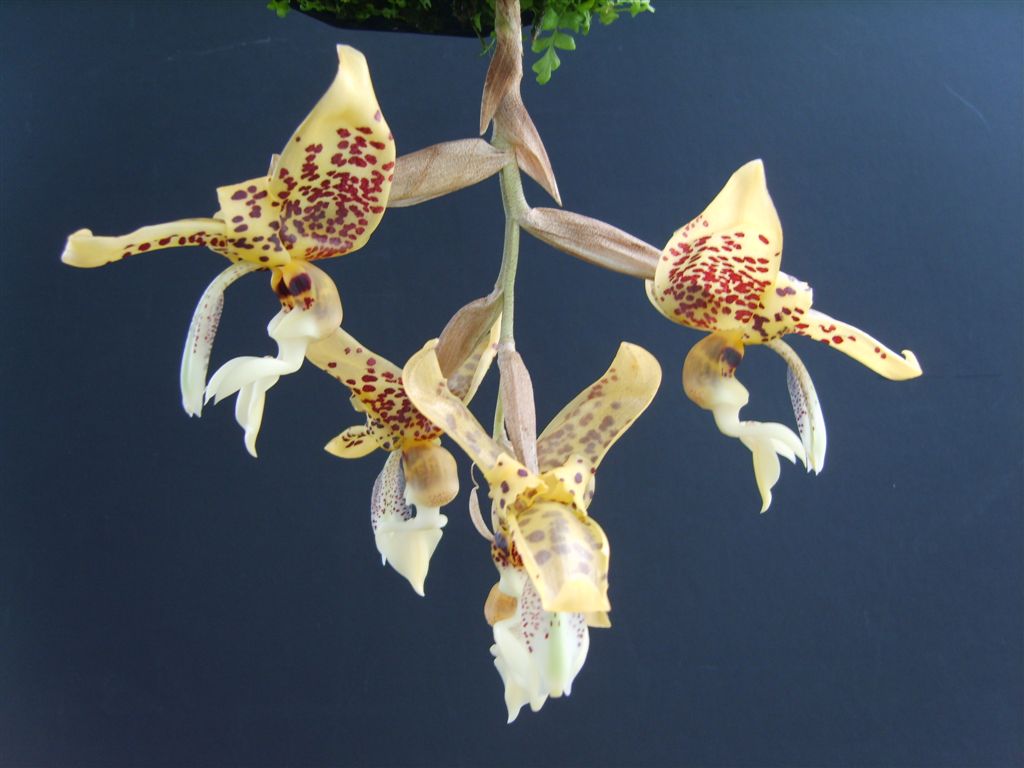 Photo by Kelvin Bush